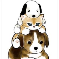 MIKI✨🐧🐱🐰 (@mikisjkyu0203) 's Twitter Profile