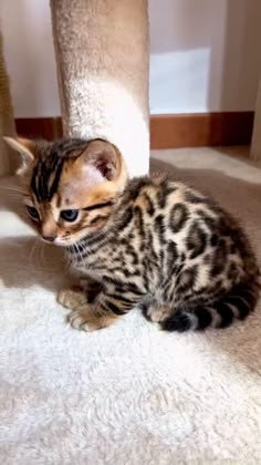 TBarker79425's profile picture. 91. When you’re trying to save money, but online shopping is a lifestyle. 🛍️💳