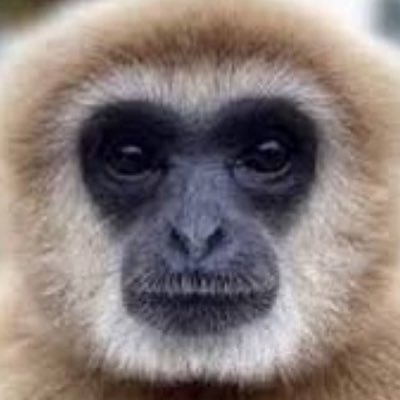 drpezbot's profile picture. based PHD (6’5)