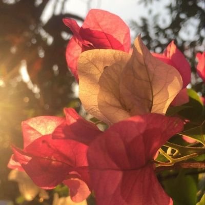 Ale000000007's profile picture. 