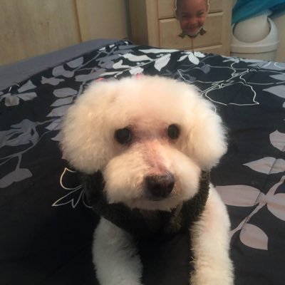 HU! YouKnow! Dog mom, flowers are my soil mate,lover of books,maps,old movie & lyrical jazz.Hate bullies,cheaters & hot food.#lifeisgood.Hello friend!Go Birds!