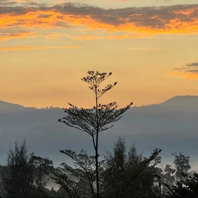 teritawar's profile picture. stoic. 
dive in the sky.