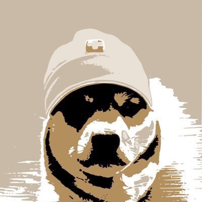 alfakhairunnisa's profile picture. Mentality