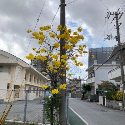 m15153695's profile picture. 地域を安心安全な場所に！ゴミゼロ運動！不法投棄ゼロ運動！