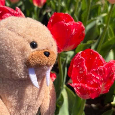 双極性障害と共に歩む社会人📖 6年間の休職・復職の波から見えた、生き方のヒントを発信中。 noteでリアル体験を、SNSで日々の気づきを🌿 心の波を、生きる知恵に変えるお手伝いをしています。