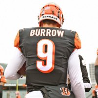 BurrowDots.Com (@burrowdots) 's Twitter Profile