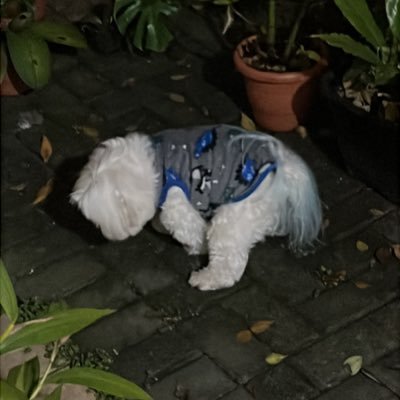 erickguedespn's profile picture. Do nada e meio aleatório!