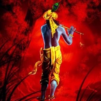 Dhiren Nalwala Profile