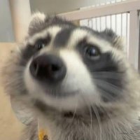 Edublack (@byedublack) 's Twitter Profile