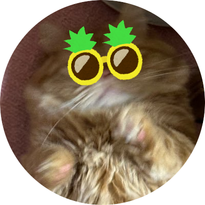 💐💐 𝐗𝟒 💐💐 (@kyo990810_mini) / Posts / X