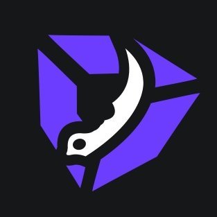 DMSkins2024's profile picture. DMSKINS -- Connecting CS2 gamers with passion and community.