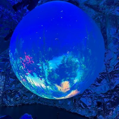 nekohannnn's profile picture. 