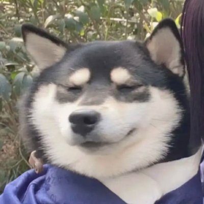 文良さんのプロフィール画像