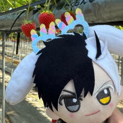抹茶が大好物な25↑のへっぽこ/WBに発狂中⛰️🌸・🏹🌸・🏹⛰️がすき/妄想字書き/🔞/自我&コスプレ諸々のごった煮垢→@kiichigo03