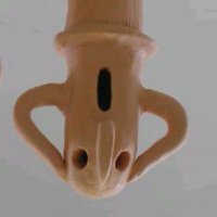 デスつちくれ (@haniwanouka2) Twitter profile photo