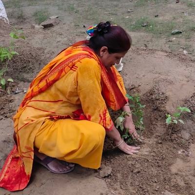 Surekha kansal Profile