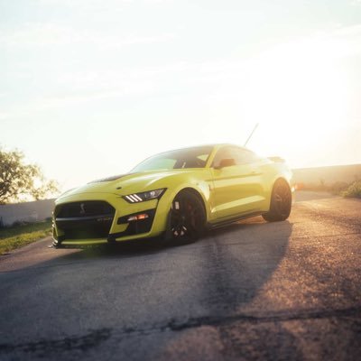 GT500's profile picture. 