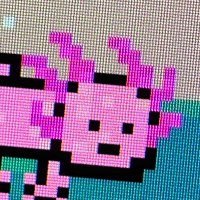 Axolote (@axolotedev) 's Twitter Profile