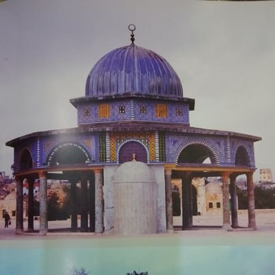 HMZ_1212's profile picture. فتى غير مفراح وغير جزوع | متحرف لبلاغ  .