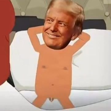 Watch Melania the movie She got in through the back door.