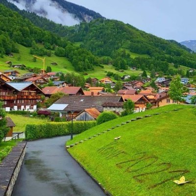 wongyiushow's profile picture. 