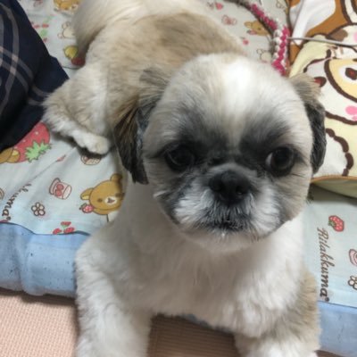むんむんさんのプロフィール画像
