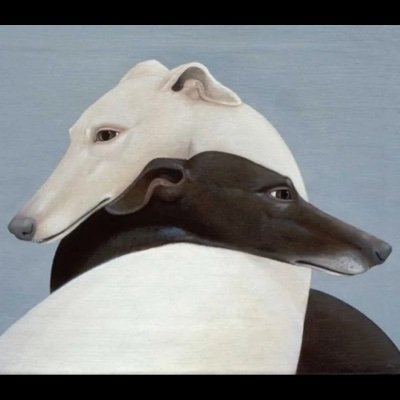 mother of 3 rats wife of @donkeybong03 love hippos and monkeys and rats and vampire weekend and vashti bunyan and mort garson and tulips and go birds yay 🦅
