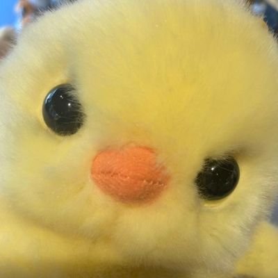 ddui6065's profile picture. #뚜씨가_씀 
#뚜씨_필사zip
#뚜시필
#펜입했뚜
#잉크만들었_뚜
#뚜씨_기록조각모음
#뚜씨뚜바

-아름답고 귀여운 인간외의 것이 좋은 사람-

필사 / 만년필 / 문구 / 소소일상
그리고 까부리🐶 누나 /

책얘계정2시 @tsundoku2pm