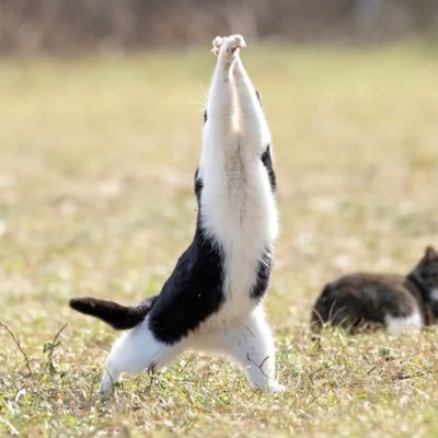 K_R_S_412's profile picture. 自己投資 これから這い上がっていくのだ