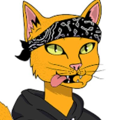 vikulk2's profile picture. 