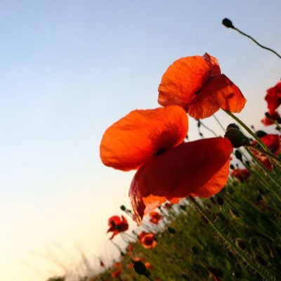 Y_room_b's profile picture. コスメ/ファッション/スイーツ/ 写真/ が好き！無言フォロー失礼します🙇‍♀️楽天ROOM初心者🔰使って良かった物、美味しかった物、好きなブランド（購入したことのある）の商品を紹介しています。