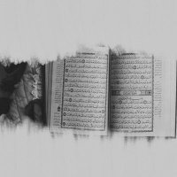 Message 📖 (@real__message) 's Twitter Profile