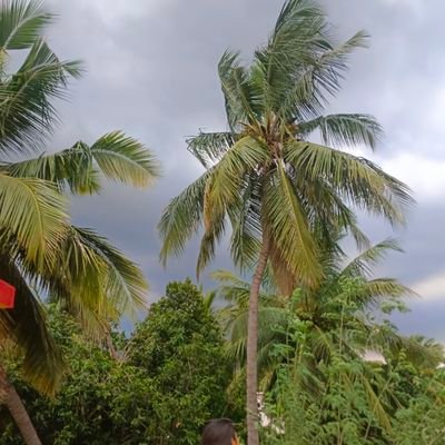 ineya_here's profile picture. ..........🥀