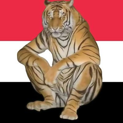Mahmoud88fares's profile picture. آية الله كعبوليثي
