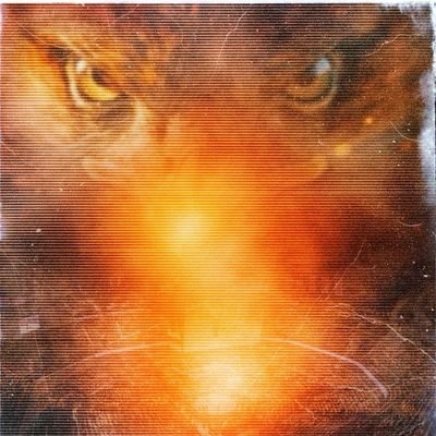 منشئ محتوى فديو مصمم جرافيك فتشوب صور
صيانة الصور القديمة - تصاميم سوشال ميديا -تصمــيم شعـارات
