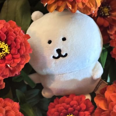 momoka_cca's profile picture. 别问地址了。过门再问吧。累累的。**私信礼貌请别骚扰 有🚪