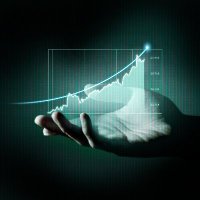 Lily Trader (@lily43117) 's Twitter Profile