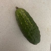 Виктория Криворотенко (@bljadotq) 's Twitter Profile