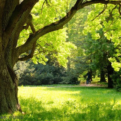 ivresearchlab's profile picture. 此时情绪此时天