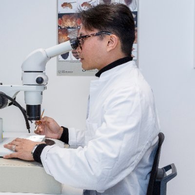 lfpbosch's profile picture. PhD student, @KierdorfLab