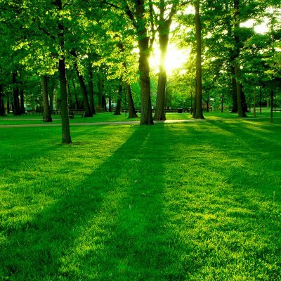 However vast the darkness, we must supply our own light.