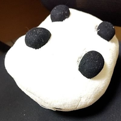 04/すいすて/おゆい🩵推しです
現場⇒10/13 11/6,11,17,23,29 12/13