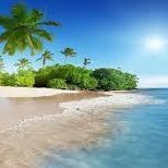 Ssoso951's profile picture. Nobody can go back and start a new beginning, but anyone can start today and make a new ending.
没有人可以回到过去重新开始，但谁都可以从今日开始，书写一个全然不同的结局。