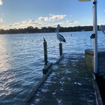 X5711813's profile picture. The truth out there