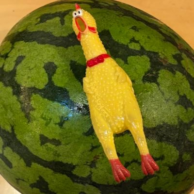 おねんどこねこねさんのプロフィール画像