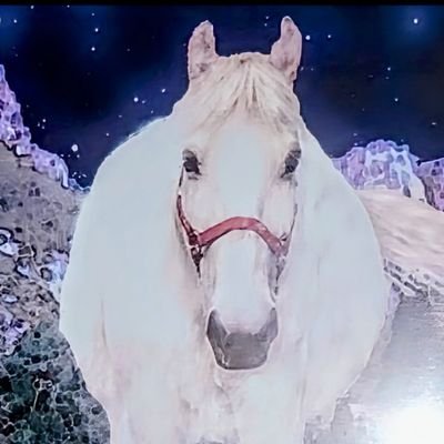 ✴️ ジャンルフリー、色々な情報をポスト、拡散しています。 ✴️
★注:『私のイイネ 💖 は必ずしも賛同ではございません。』 ⚠️
👎 反日・国賊・売国奴・屁理屈・詭弁・高学歴の馬鹿・平和ボケ・銭ゲバ・左翼には虫唾が走る、知ったかぶりの絡み屋・貧困層の生活苦を1ミリも理解出来ない小金持ちはブロック対象! 👎