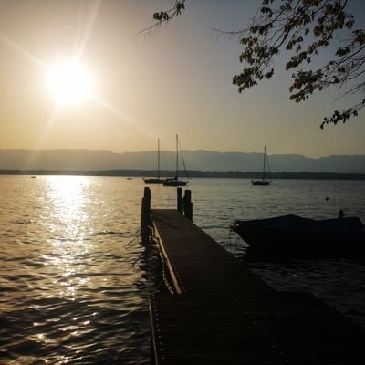 SaraWella86's profile picture. 