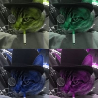 Inari_inku's profile picture. 