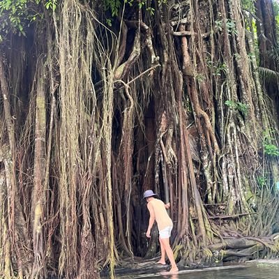 ajnomot0's profile picture. CLOSED