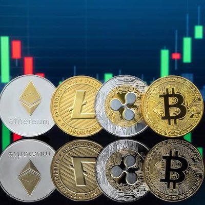 Cryptobroo15 Profile